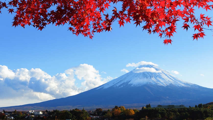 what exactly is a home equity loan