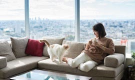 Loans for High Income Earners