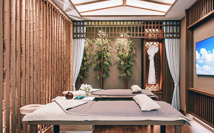 Wellness and Spa Treatment