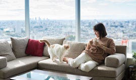 Loans for High Income Earners